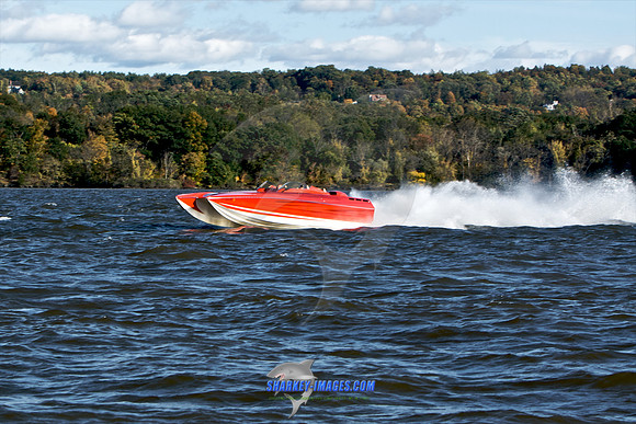 101009B 429 - Version 2.jpg