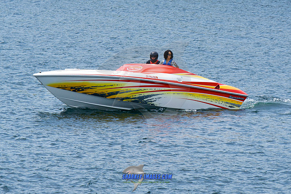 052210_C 24 - Version 2
