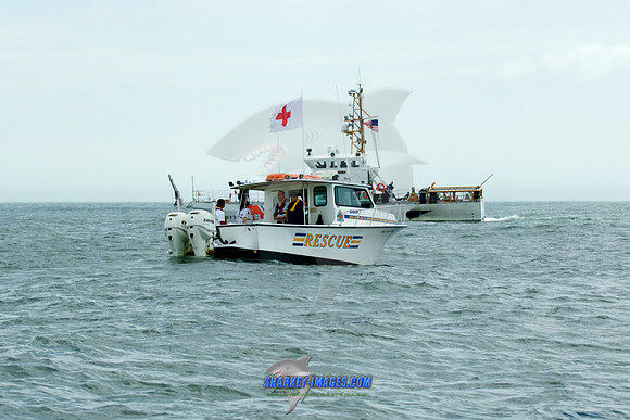 180520A 196
