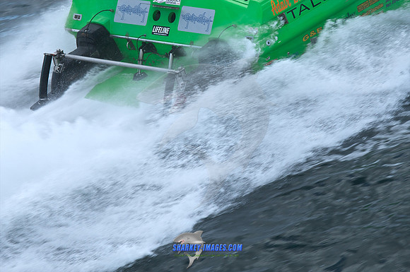 091309G 419 - Version 2.jpg