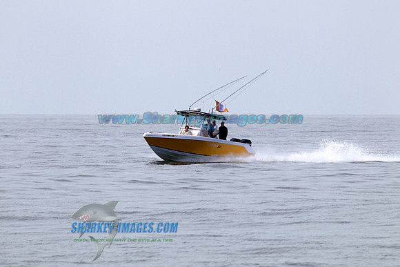 1306223SS 266