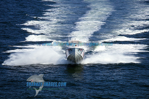 120804A 313
