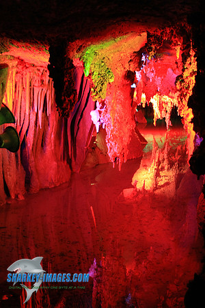 110108_ 112.jpg