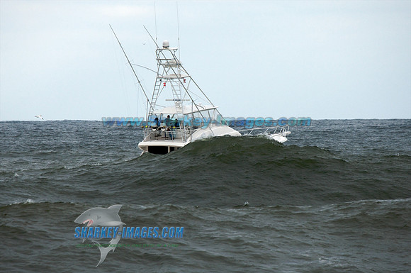 102909_ 33 - Version 2.jpg