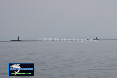 072909 388 - Version 2.jpg