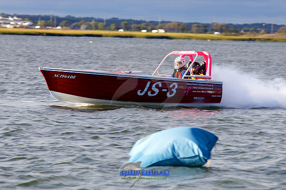 111002B 1439 - Version 2