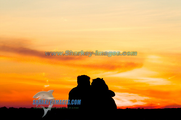 110812C 42 - Version 2