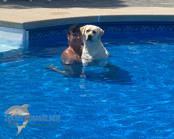 9F30A61D-B428-4412-A598-194843FACE27