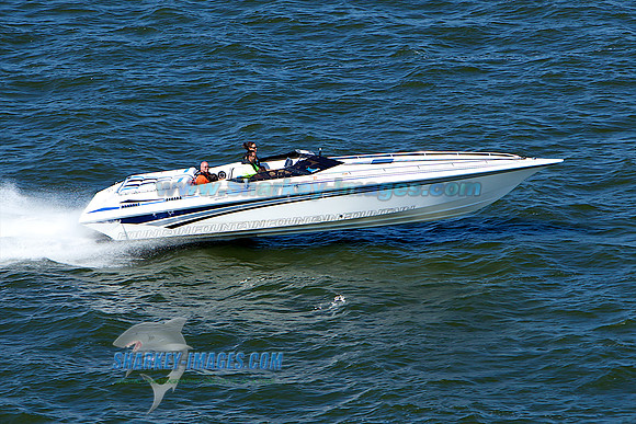 110730D 777 - Version 2