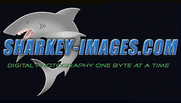 si_logo.jpg