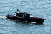 250816A 833