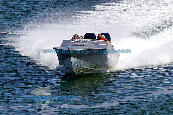120223B 299 - Version 2