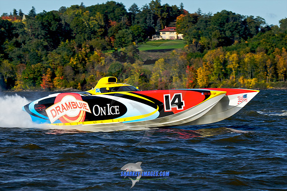 101009C 81 - Version 2.jpg