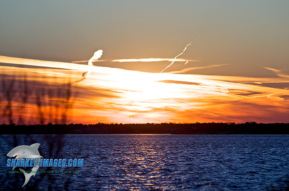 110203A  1473 - Version 2