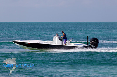 120225B 48 - Version 2