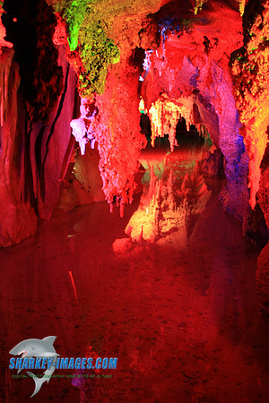 110108_ 117.jpg