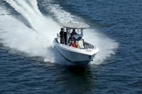 250816A 334