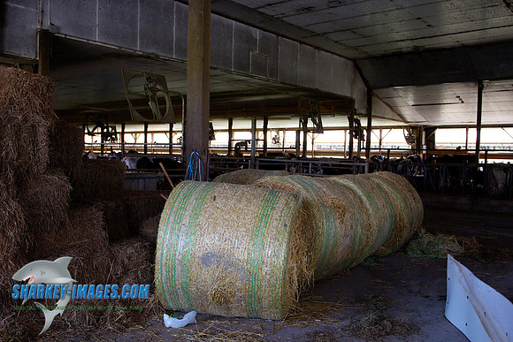 120812 168