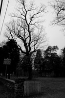 TSI_0024.JPG