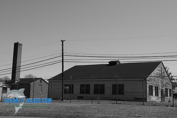 TSI_0046.JPG