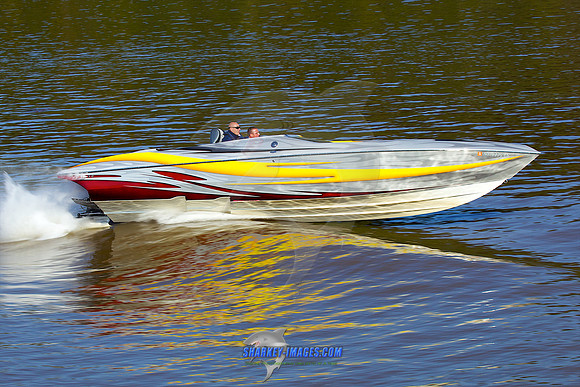 111008A 1039 - Version 2