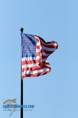 062010 126 - Version 2