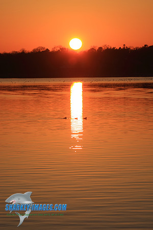 5T0F0076_C.JPG