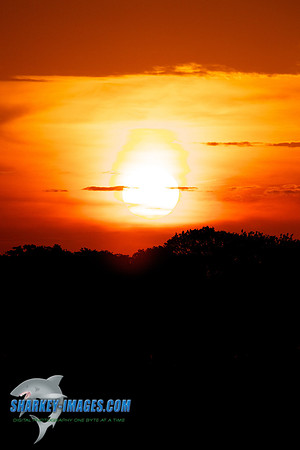120722D 125