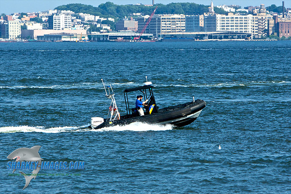 062010 82 - Version 2