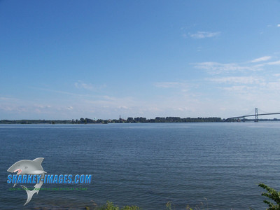 100_0290.JPG