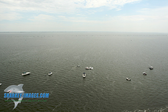 082309W 40 - Version 2.jpg