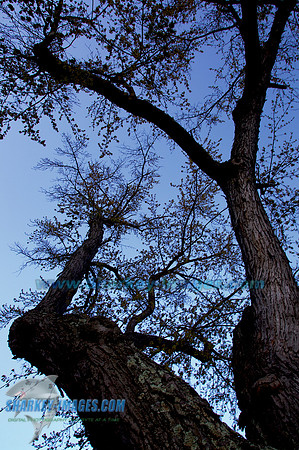 120407 111 - Version 2