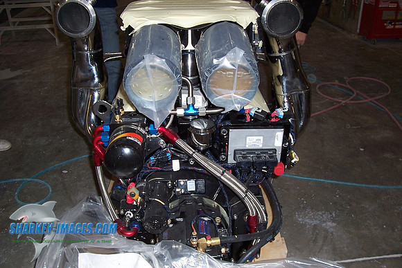 OL 023.jpg