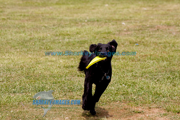 100821B 73 - Version 2