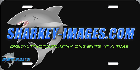 SHARKEY-IMAGES