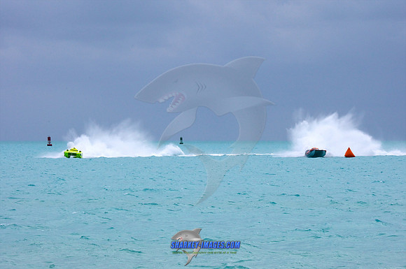 111109_ 560 - Version 2.jpg