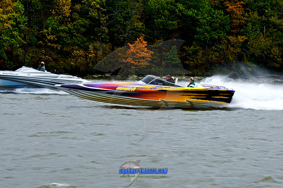 101009B 241 - Version 2.jpg