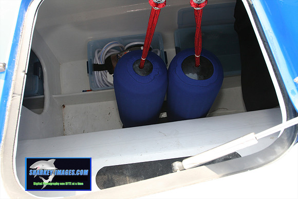 080109_T 40.jpg