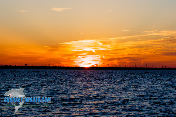 03182010 38 - Version 2