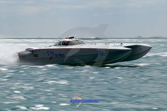 111111D 828 - Version 2