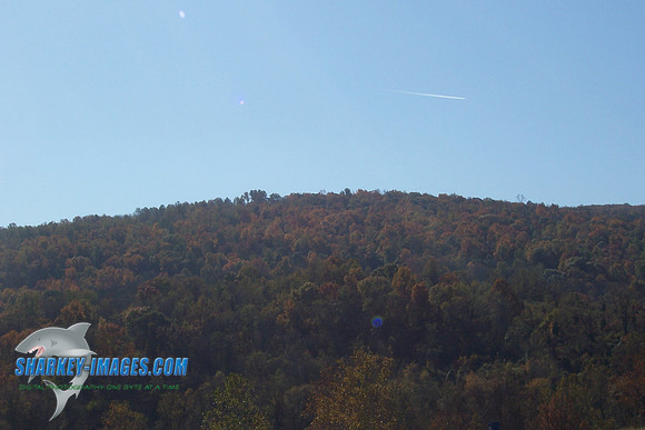 110208_ 020.jpg