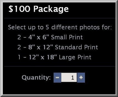 $100 Package