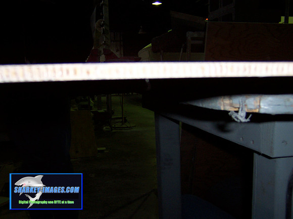 100_0031.JPG