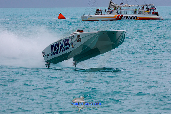 111109_ 287 - Version 2.jpg