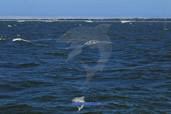 150531R2 345