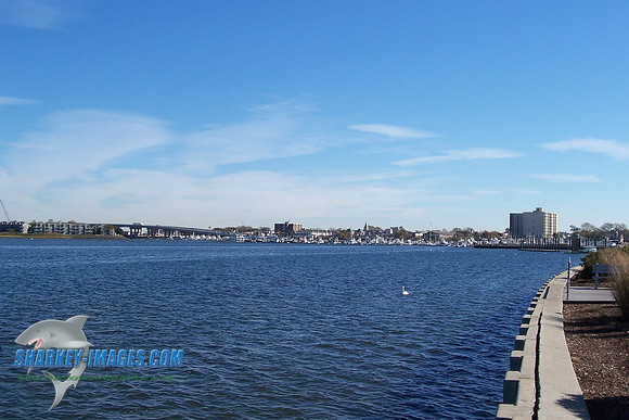 100_7365.JPG