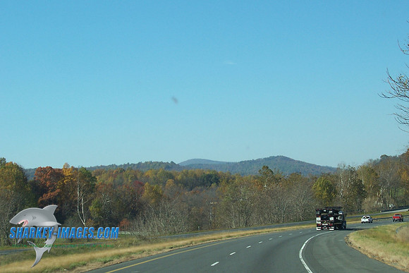 110208_ 011.jpg
