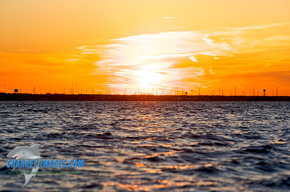 03182010 14 - Version 2