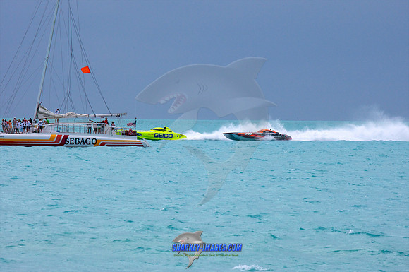 111109_ 557 - Version 2.jpg