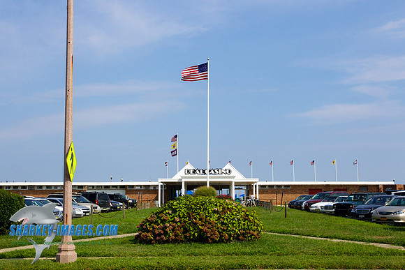 130826A 383